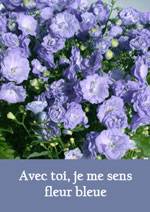avec toi,je me sens fleur bleue
